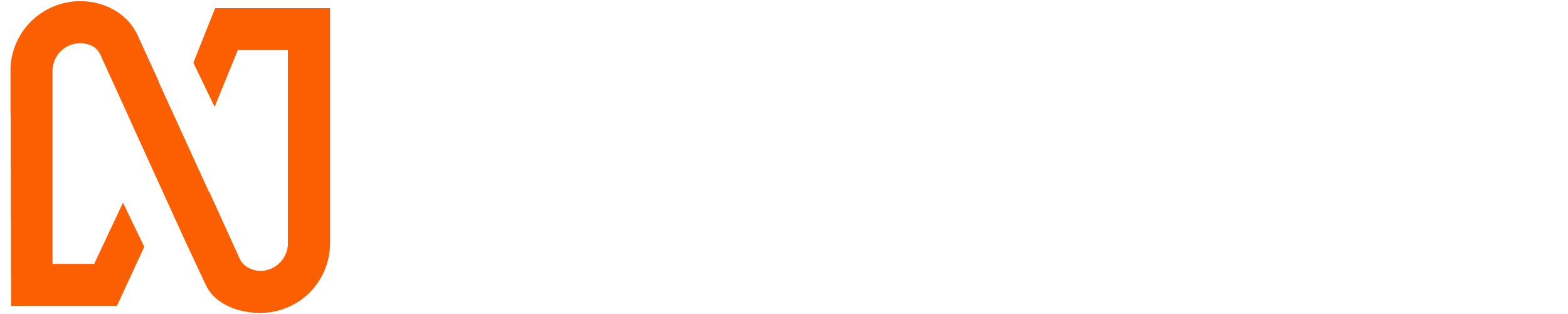 Netcore